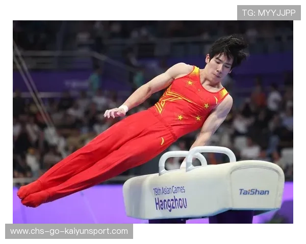 鞍马项目专家解析技巧要点，鞍马运动项目图